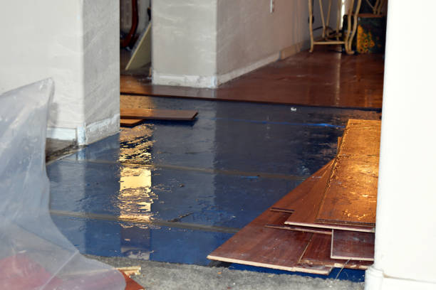 Professional Burst Pipe Cleanup technician working in Ringle, WI